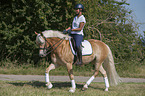 woman rides Haflinger