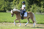 woman rides Haflinger