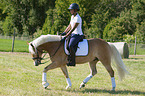 woman rides Haflinger