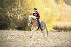 woman rides Haflinger