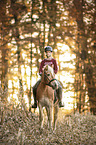 woman rides Haflinger