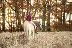 woman rides Haflinger