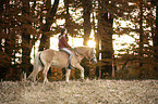 woman rides Haflinger