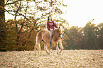 woman rides Haflinger