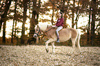 woman rides Haflinger