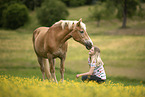 woman and Haflinger
