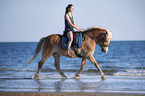 woman rides Haflinger
