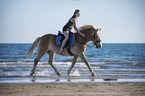 woman rides Haflinger