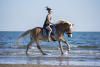 woman rides Haflinger