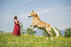woman and Haflinger