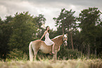 woman and Haflinger horse