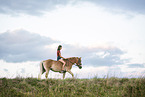 woman and Haflinger horse