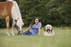 Haflinger and Waeller Sheepdog