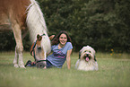 Haflinger and Waeller Sheepdog