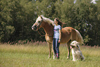 Haflinger and Waeller Sheepdog