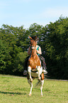 woman rides half-caste