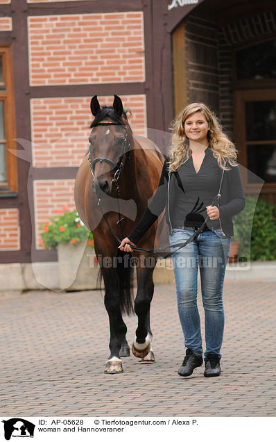 Frau und Hannoveraner / woman and Hannoveraner / AP-05628