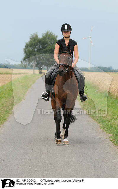 Frau reitet Hannoveraner / woman rides Hannoveraner / AP-05642