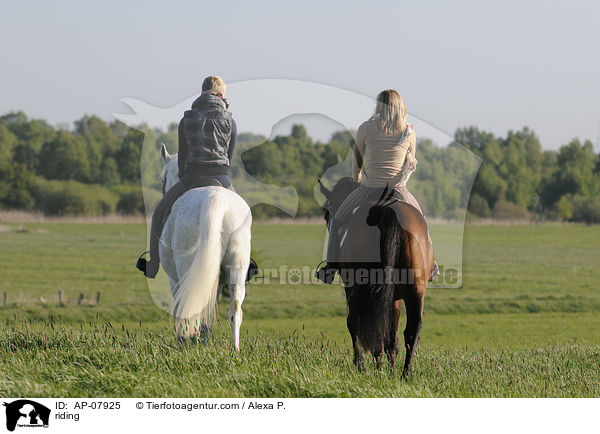 Ausritt / riding / AP-07925