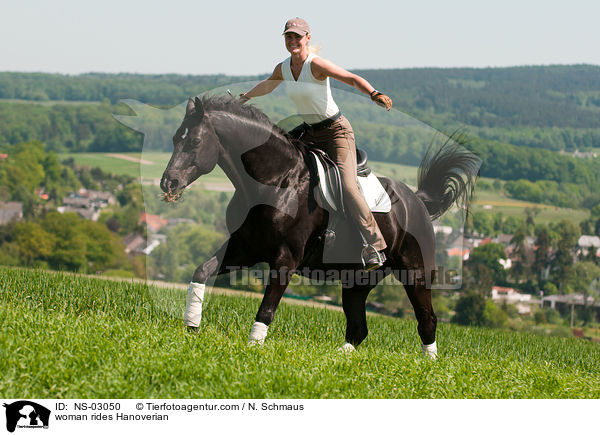 Frau reitet Hannoveraner / woman rides Hanoverian / NS-03050