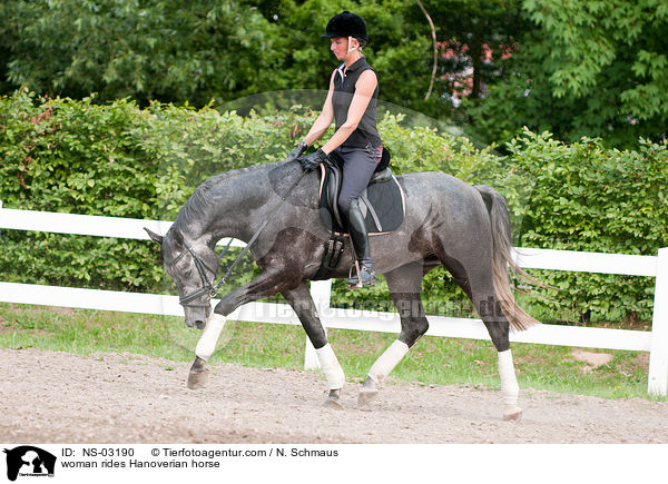 woman rides Hanoverian horse / NS-03190