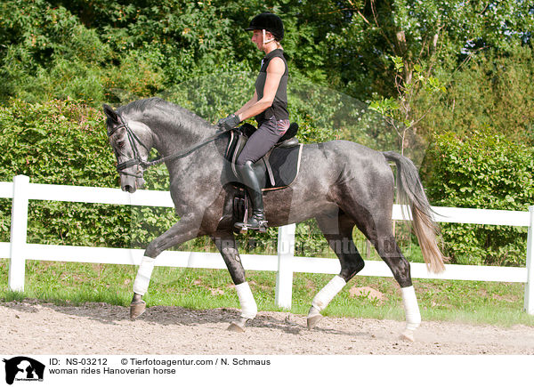Frau reitet Hannoveraner / woman rides Hanoverian horse / NS-03212