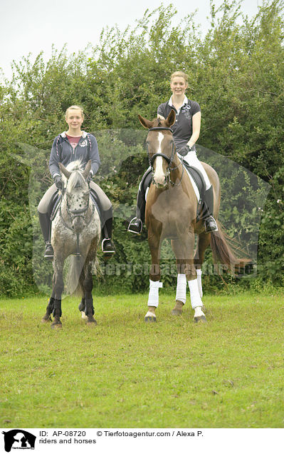 riders and horses / AP-08720