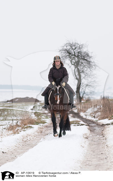 woman rides Hanoverian horse / AP-10619