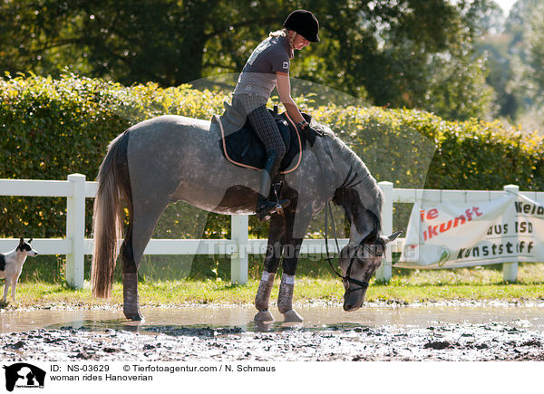woman rides Hanoverian / NS-03629