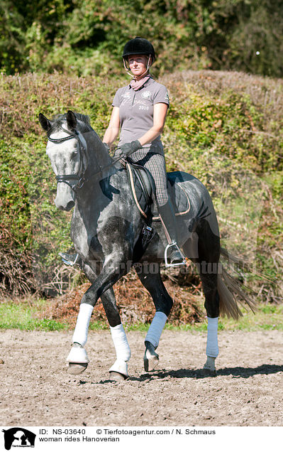 Frau reitet Hannoveraner / woman rides Hanoverian / NS-03640