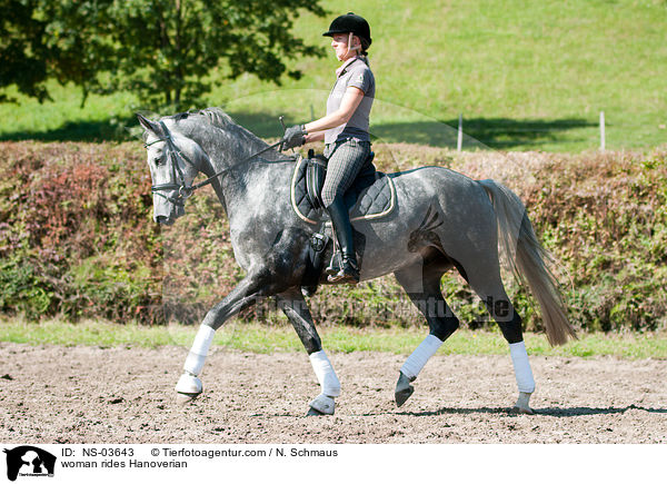 Frau reitet Hannoveraner / woman rides Hanoverian / NS-03643