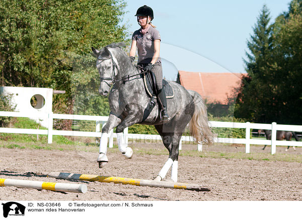 Frau reitet Hannoveraner / woman rides Hanoverian / NS-03646