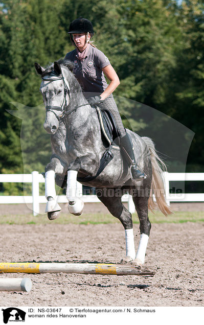 Frau reitet Hannoveraner / woman rides Hanoverian / NS-03647