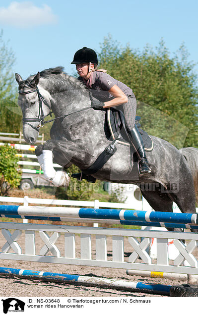 woman rides Hanoverian / NS-03648