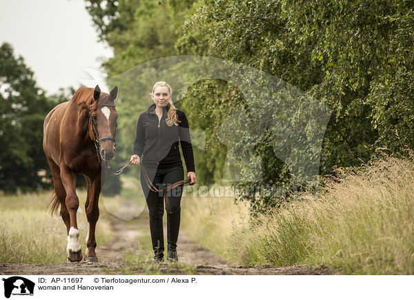 Frau und Hannoveraner / woman and Hanoverian / AP-11697
