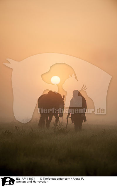 Frau und Hannoveraner / woman and Hanoverian / AP-11874