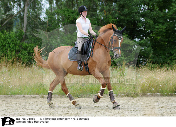 Frau reitet Hannoveraner / woman rides Hanoverian / NS-04558
