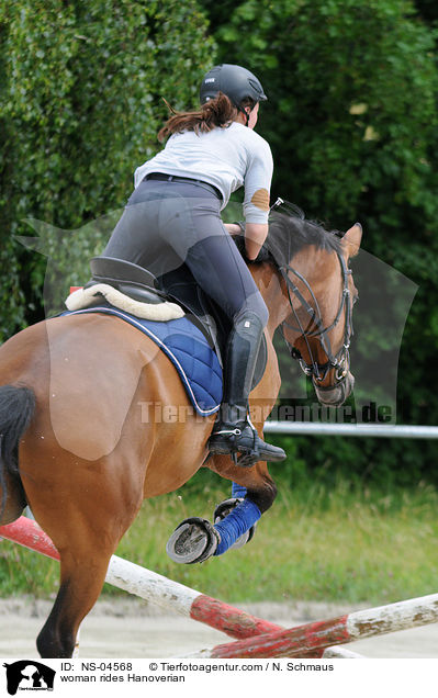 Frau reitet Hannoveraner / woman rides Hanoverian / NS-04568