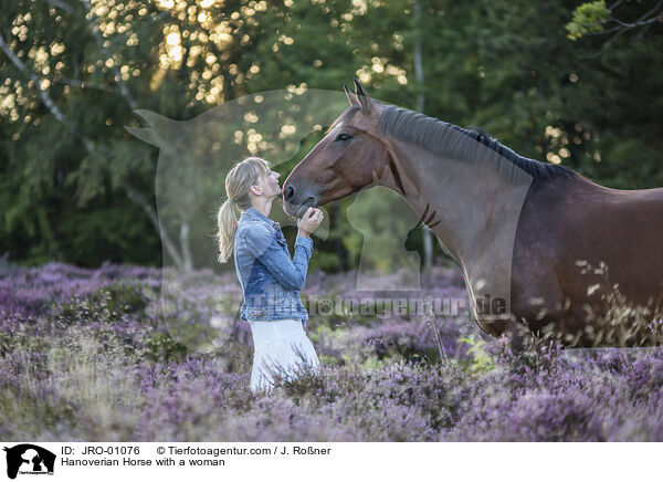 Hanoverian Horse with a woman / JRO-01076