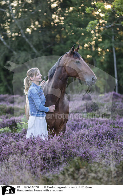 Hanoverian Horse with a woman / JRO-01078