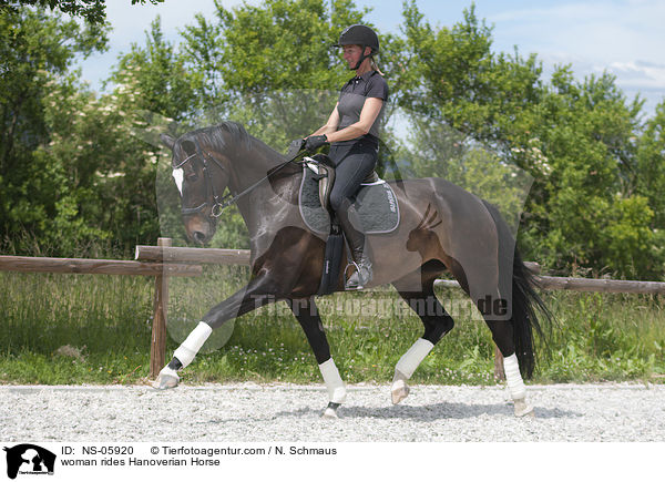 Frau reitet Hannoveraner / woman rides Hanoverian Horse / NS-05920