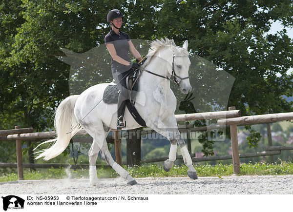 woman rides Hanoverian Horse / NS-05953