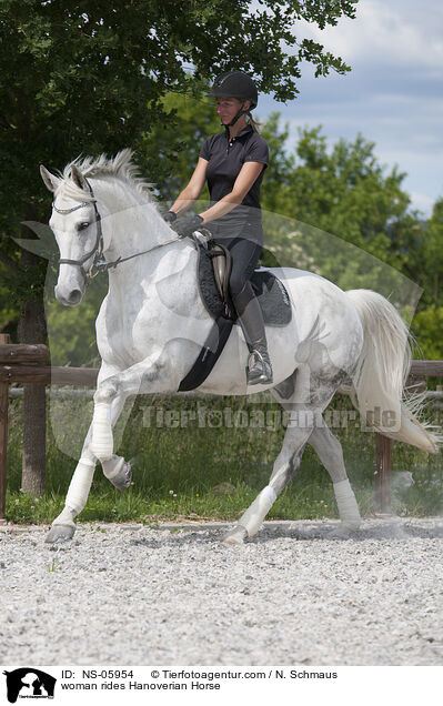 Frau reitet Hannoveraner / woman rides Hanoverian Horse / NS-05954