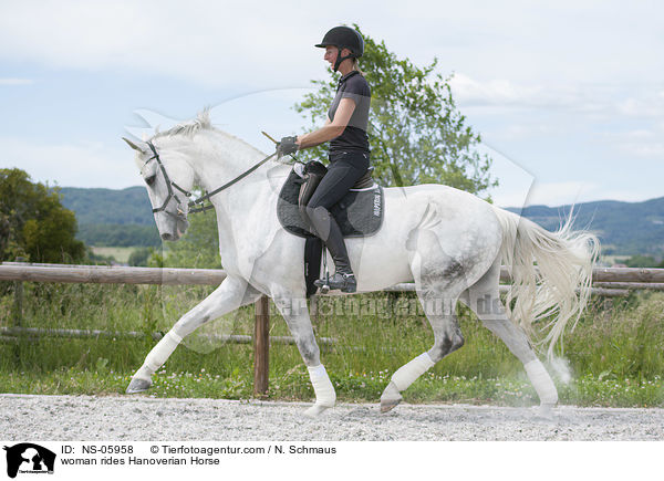 woman rides Hanoverian Horse / NS-05958