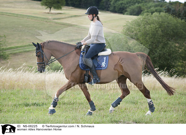 Frau reitet Hannoveraner / woman rides Hanoverian Horse / NS-06225