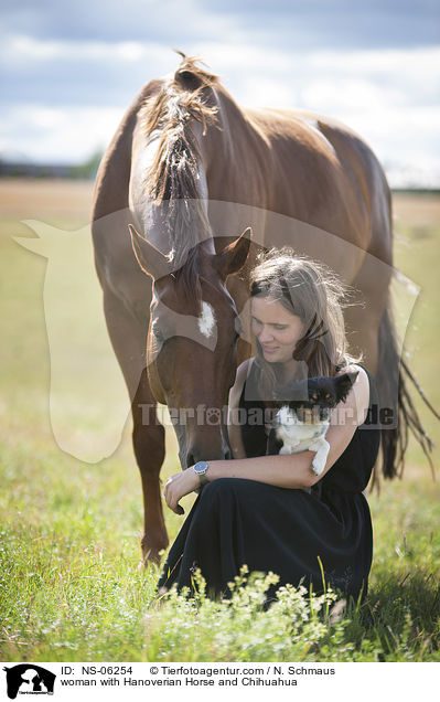 woman with Hanoverian Horse and Chihuahua / NS-06254