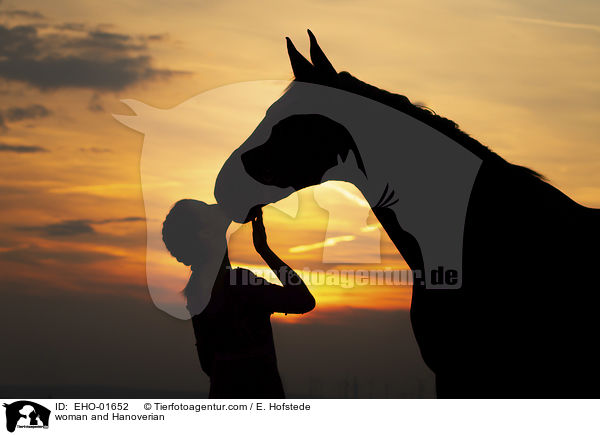 Frau und Hannoveraner / woman and Hanoverian / EHO-01652