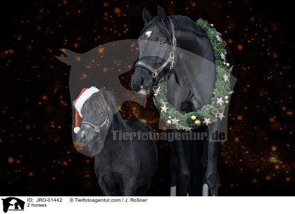 2 horses / JRO-01442