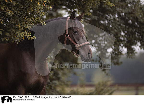 Hanoverian Portrait / PK-01292