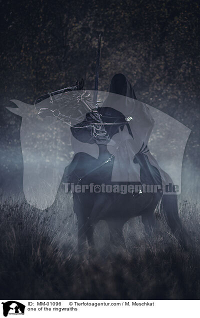 einer der Ringgeister / one of the ringwraiths / MM-01096